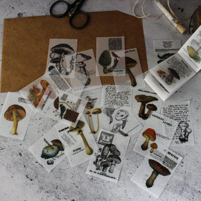 Mini Memo Pad : Toadstools - Tribe Castlemaine