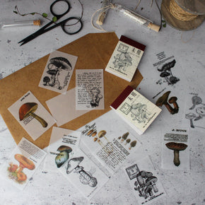 Mini Memo Pad : Toadstools - Tribe Castlemaine