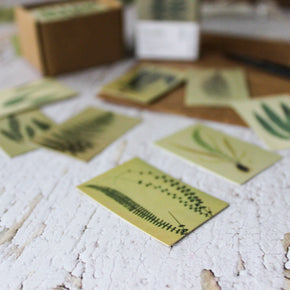 Miniature Card Box : Fern - Tribe Castlemaine