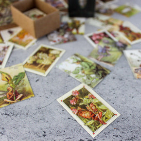 Miniature Card Box Flower Fairy - Tribe Castlemaine