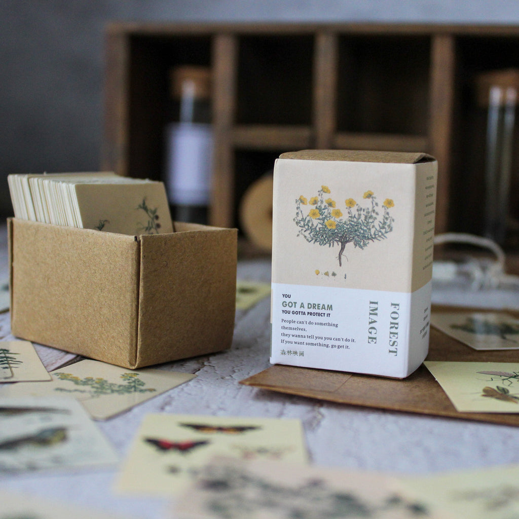 Miniature Card Box : Forest - Tribe Castlemaine