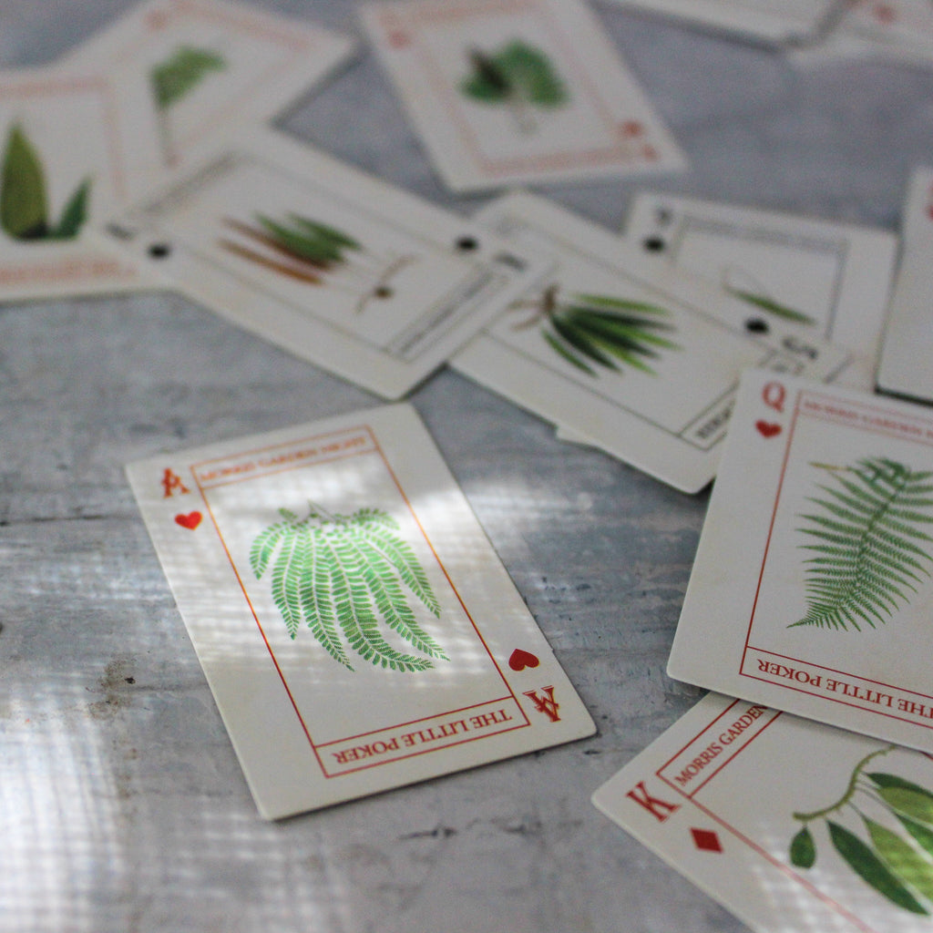Miniature Nature Playing Cards - Tribe Castlemaine