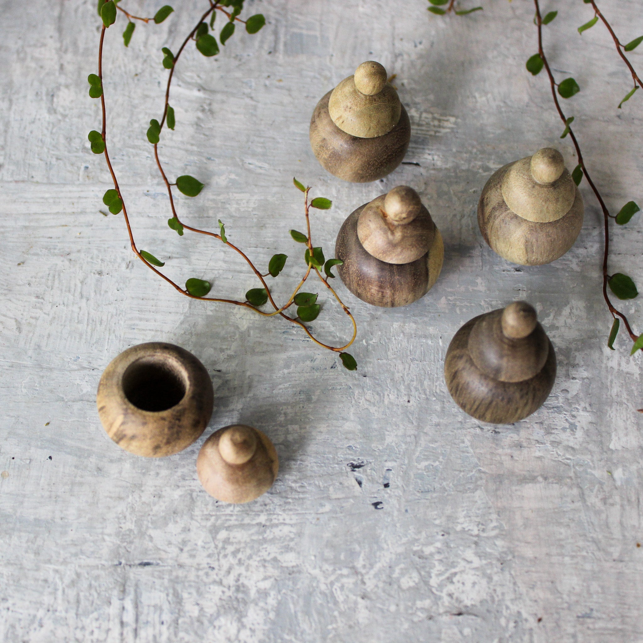 Miniature Waru Pots - Tribe Castlemaine