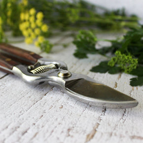 National Trust Secateurs - Tribe Castlemaine