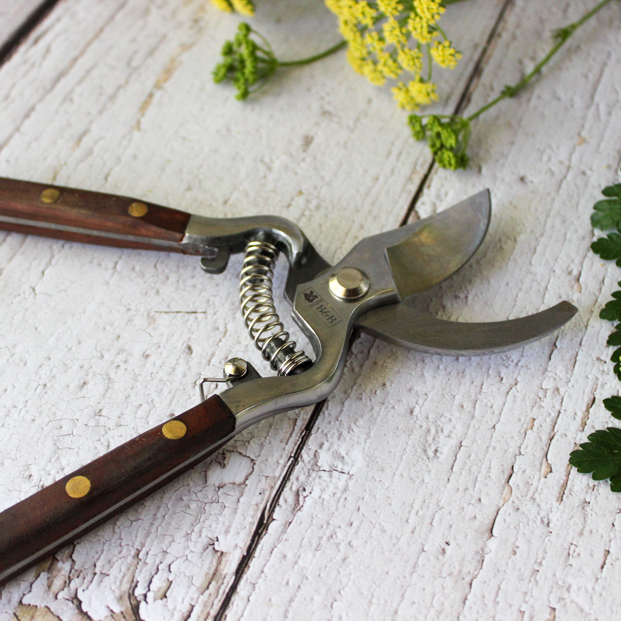 National Trust Secateurs - Tribe Castlemaine