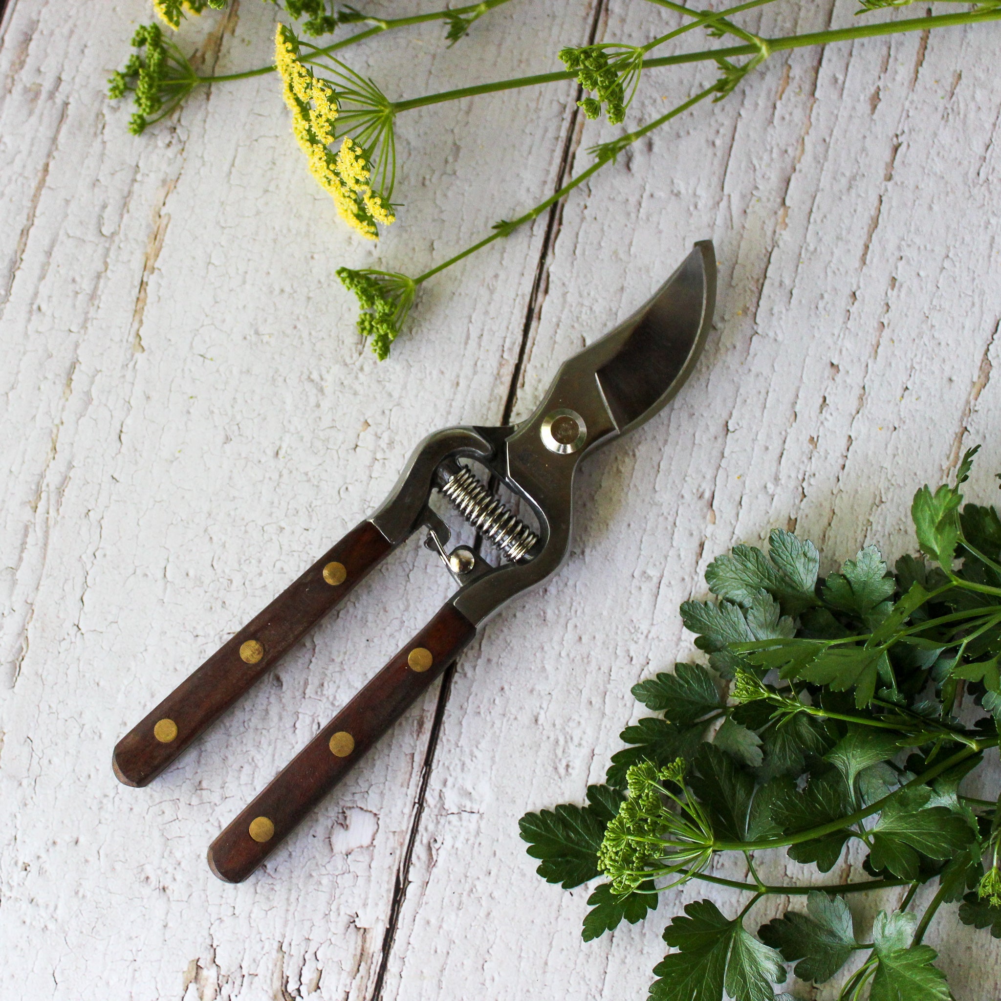 National Trust Secateurs - Tribe Castlemaine