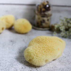 Natural Sea Sponges - Tribe Castlemaine