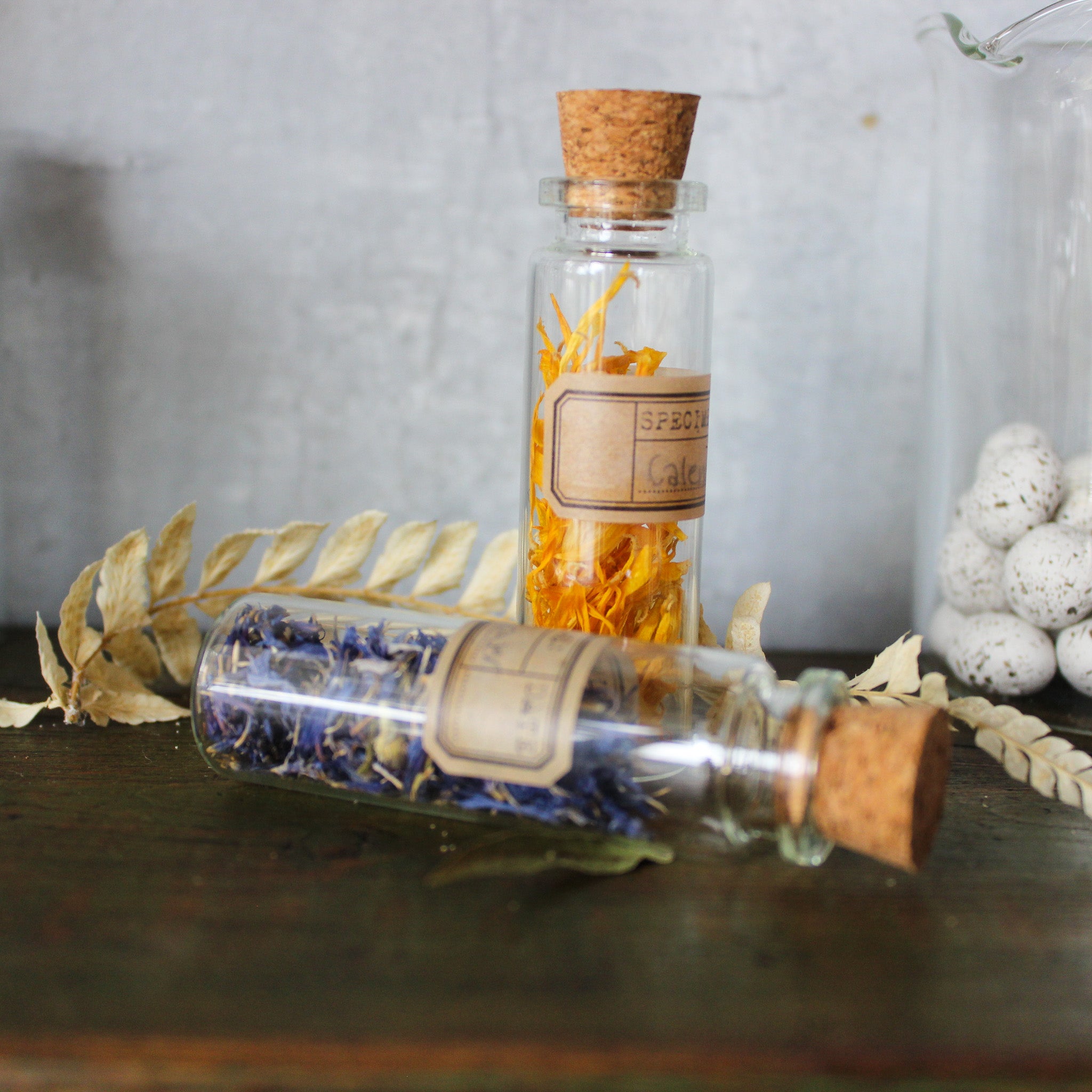 Nature Specimen Jars - Tribe Castlemaine