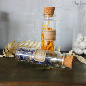 Nature Specimen Jars - Tribe Castlemaine