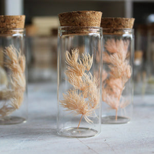 Nature Specimen Jars - Tribe Castlemaine