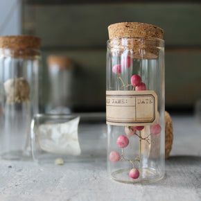 Nature Specimen Jars - Tribe Castlemaine