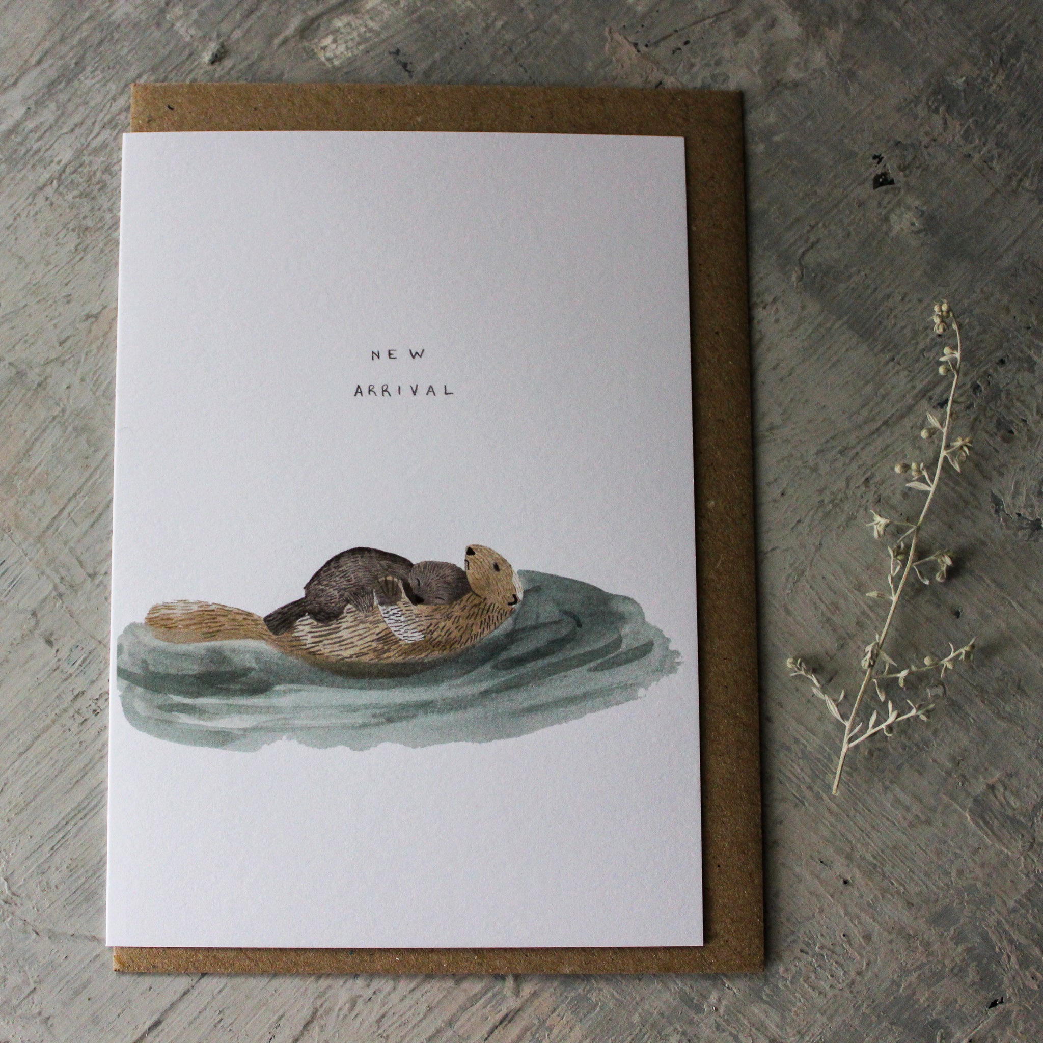 New Arrival Otter Greeting Card - Tribe Castlemaine