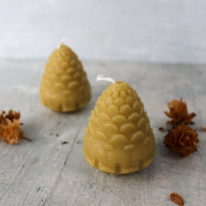 Pine Cone Beeswax Candles - Tribe Castlemaine