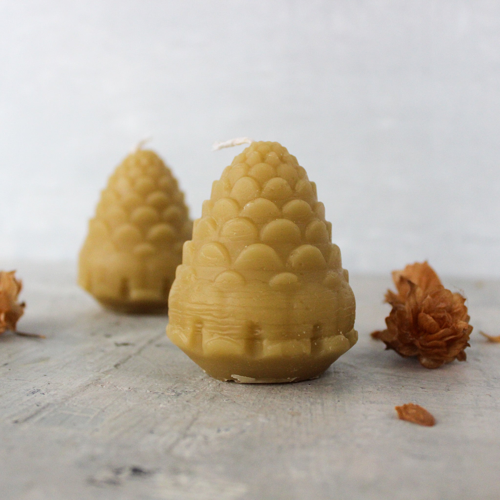Pine Cone Beeswax Candles - Tribe Castlemaine