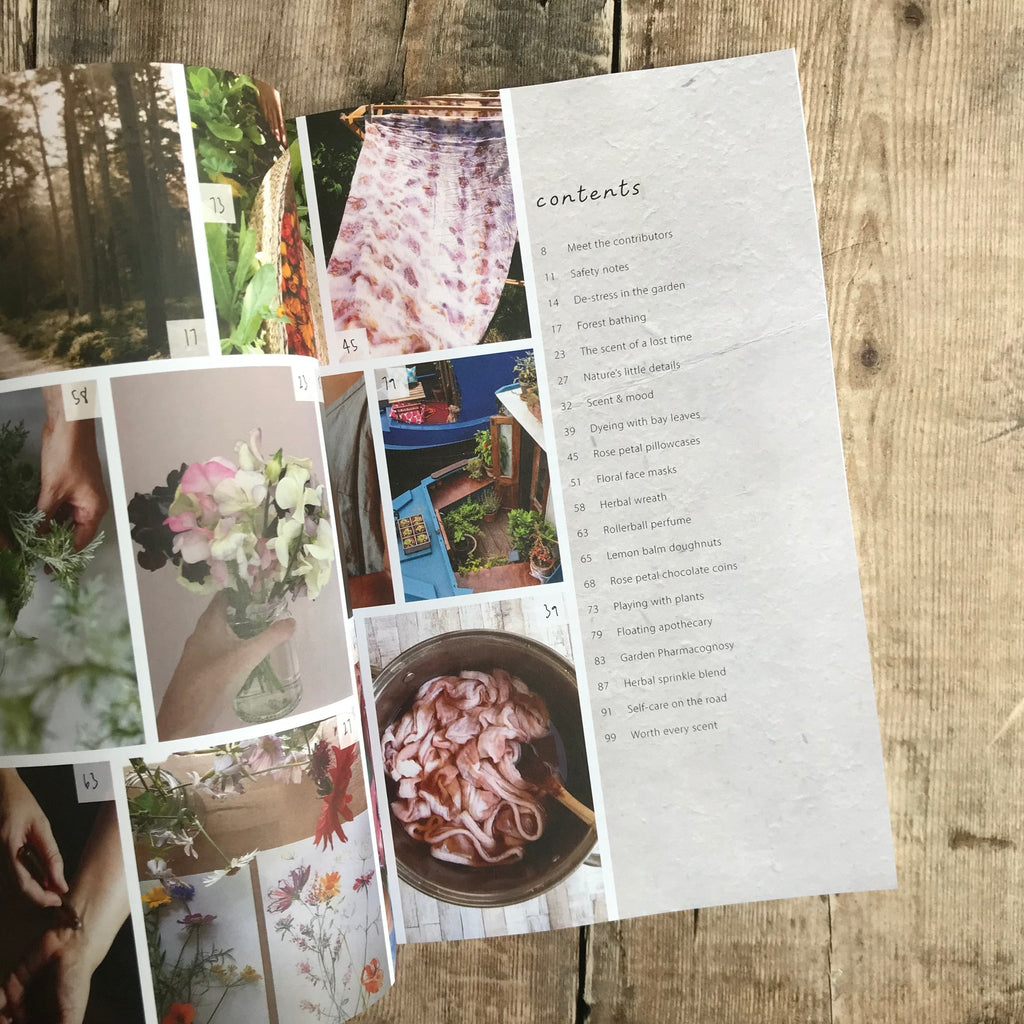 Plant Forage Make Magazine - Tribe Castlemaine