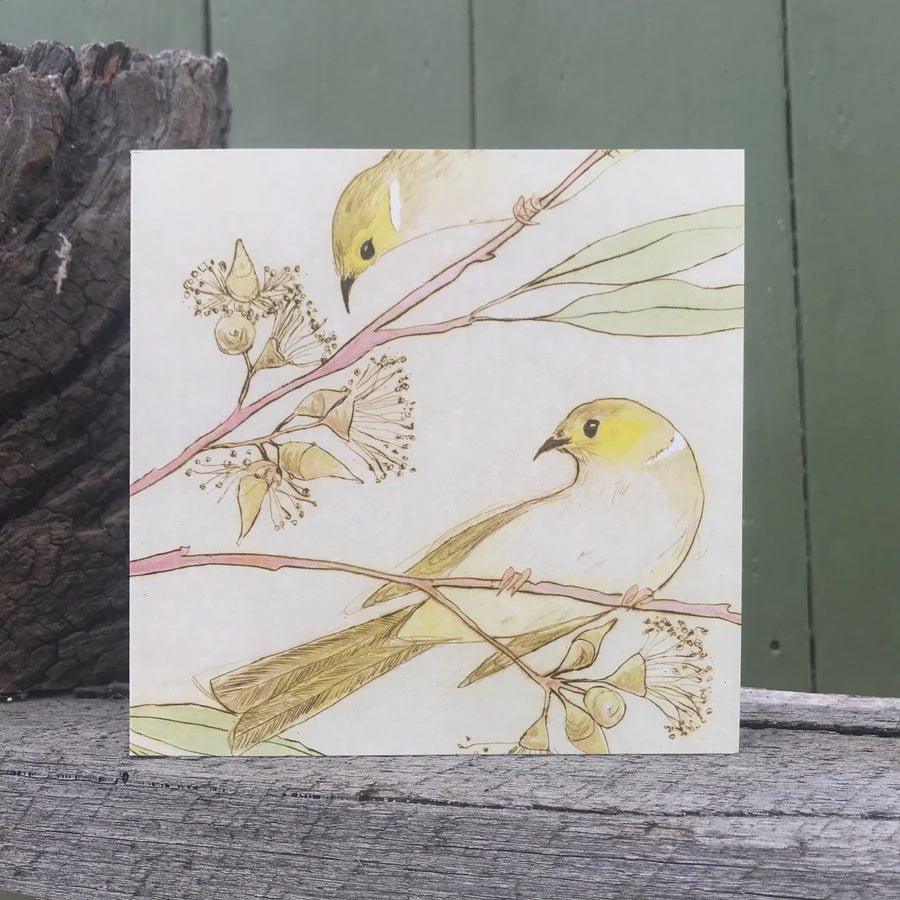 Plumed Honeyeaters Card - Tribe Castlemaine