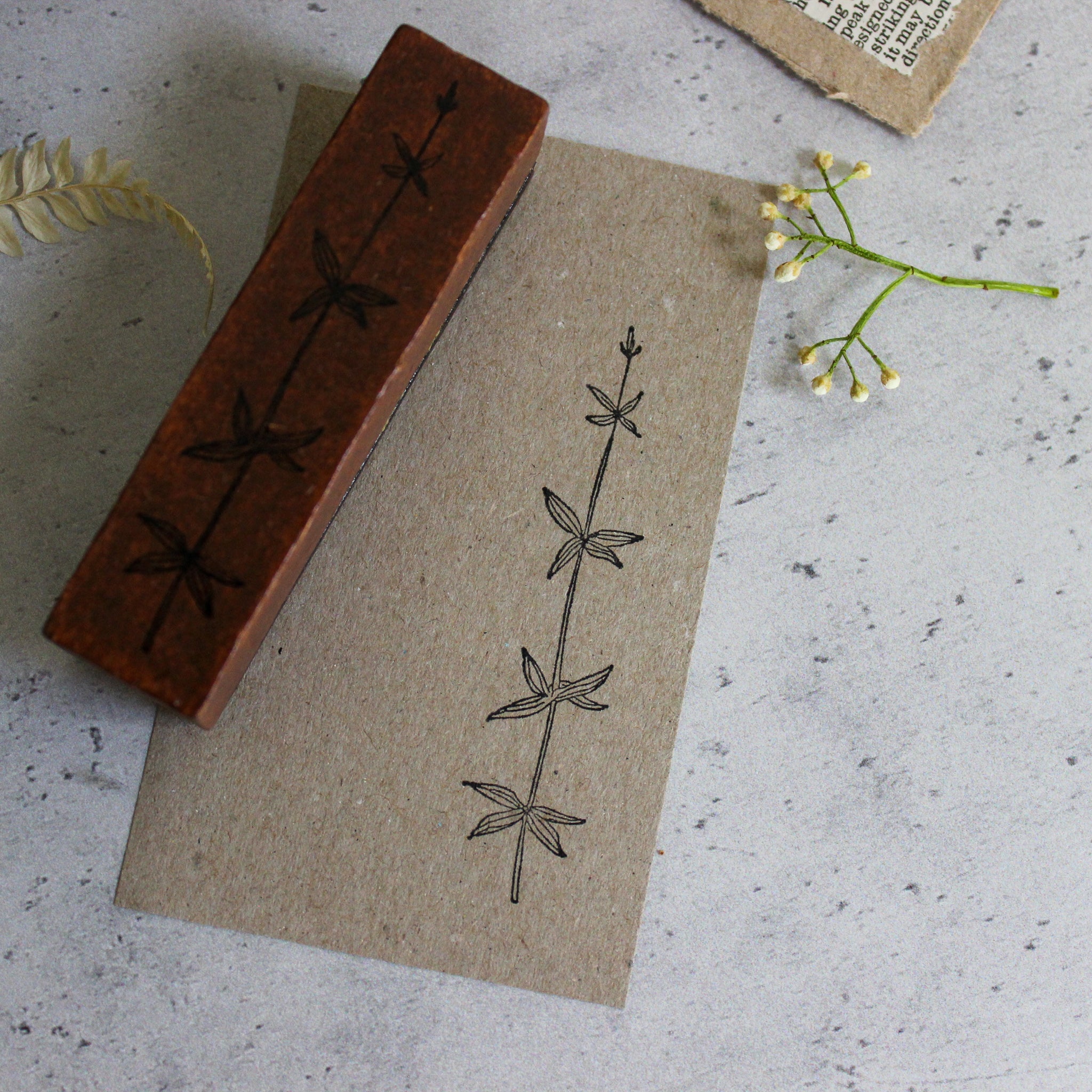 Rubber Stamps Grasses - Tribe Castlemaine