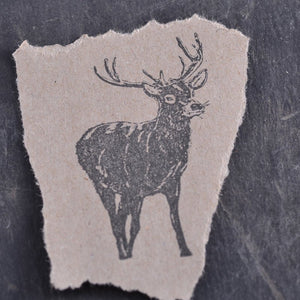 Rubber Stamps: Woodland Animals - Tribe Castlemaine