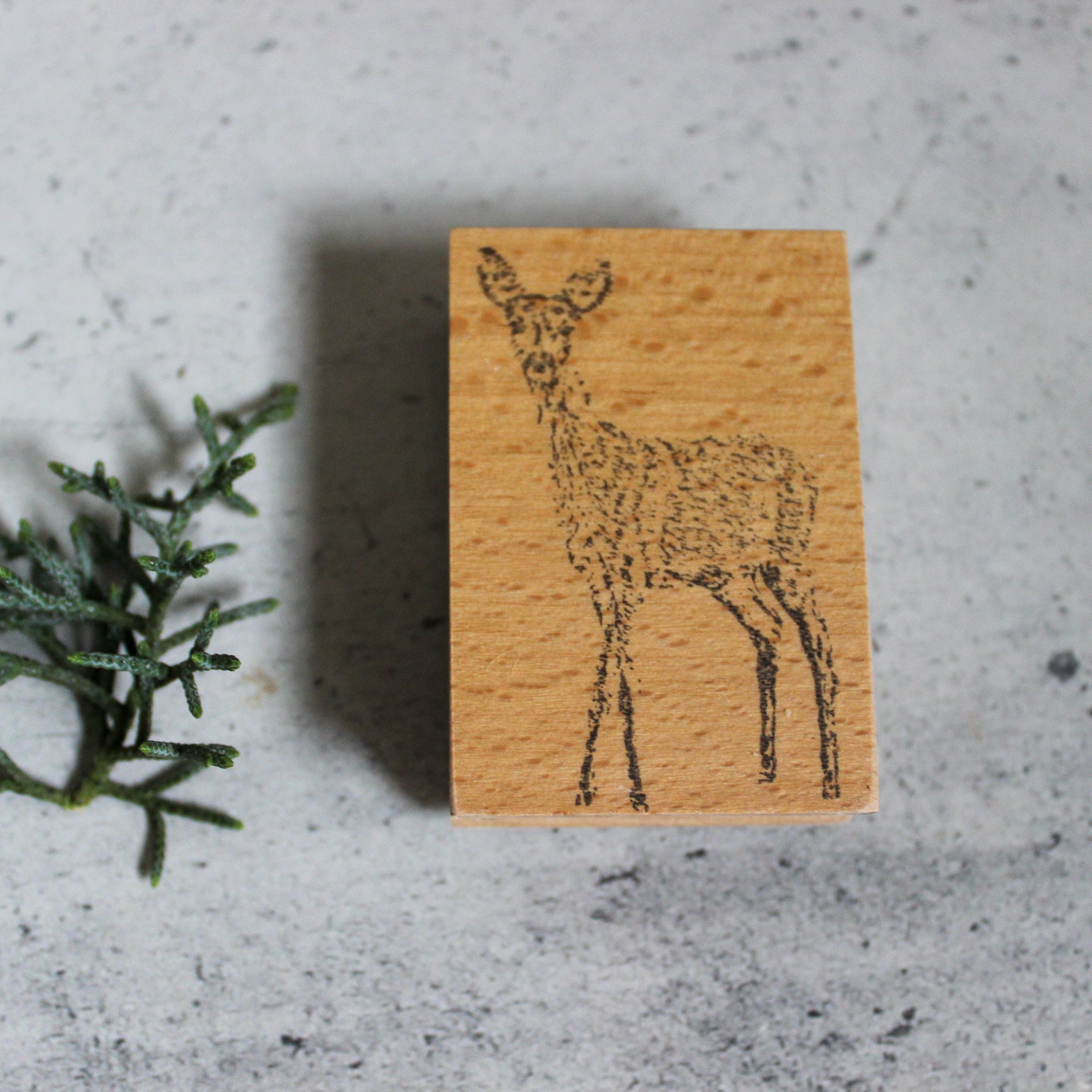 Rubber Stamps: Woodland Animals - Tribe Castlemaine