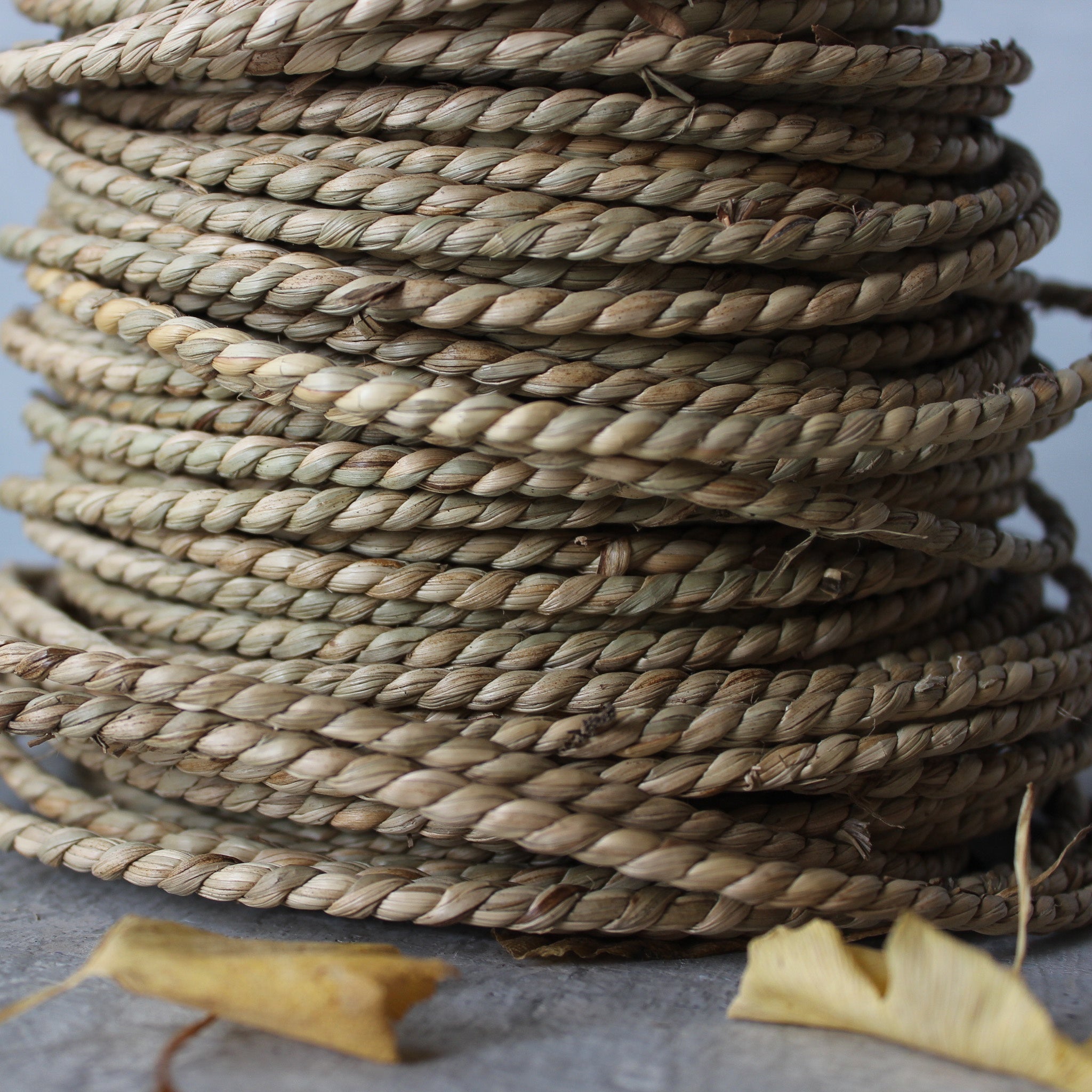 Seagrass Cordage – Tribe Castlemaine