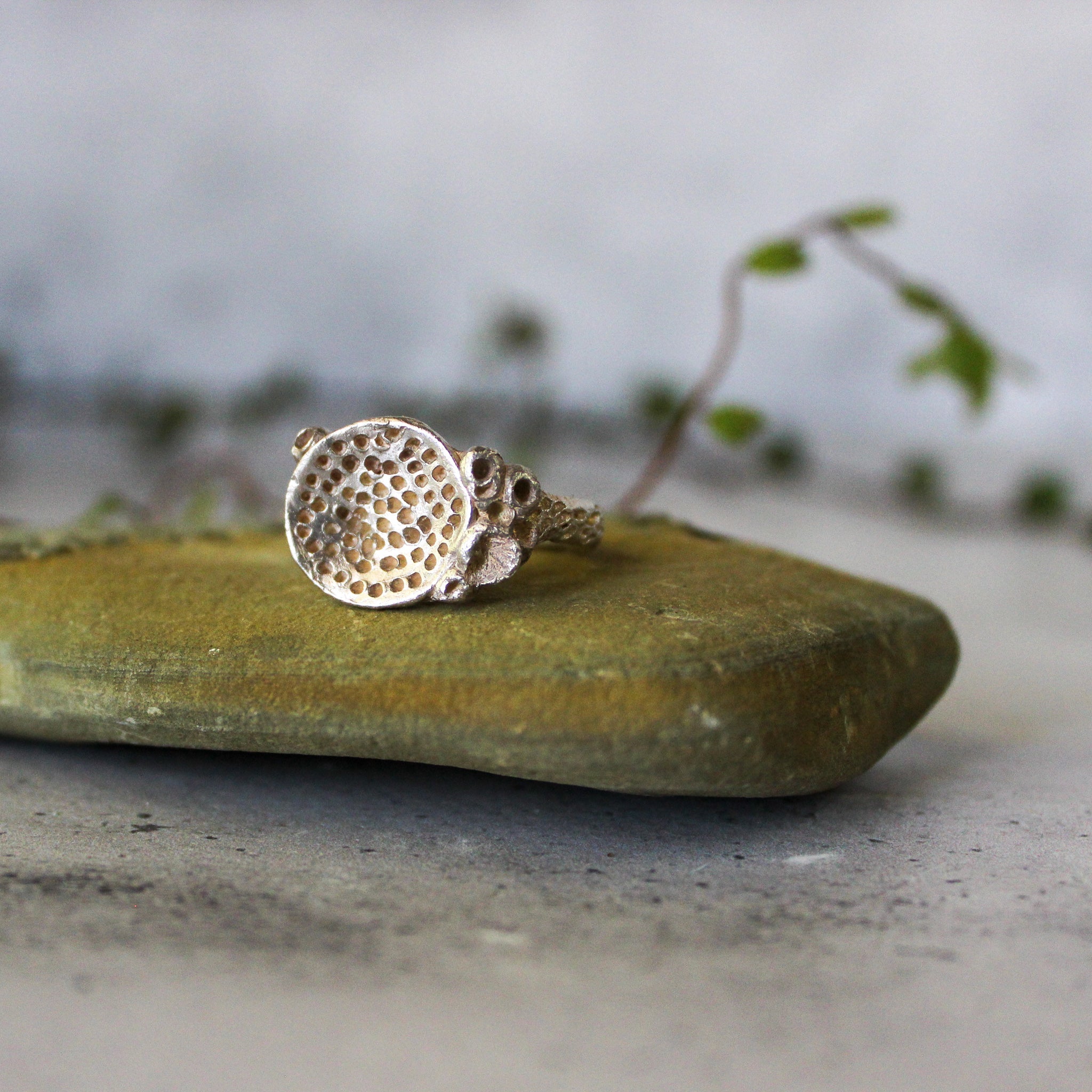 Silver Rock Coral Rings - Tribe Castlemaine