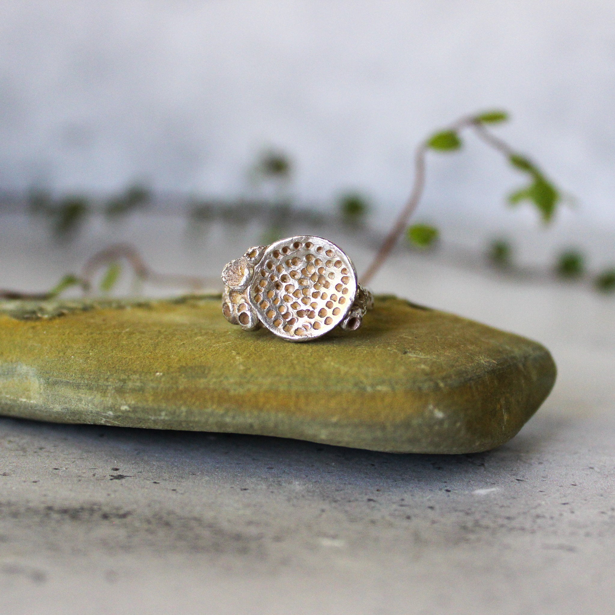 Silver Rock Coral Rings - Tribe Castlemaine