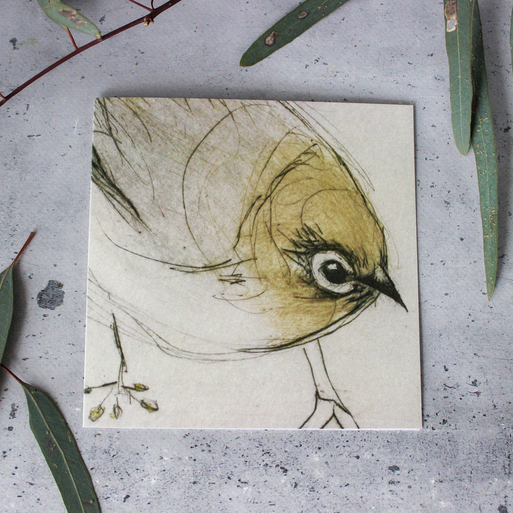 Silvereye Card - Tribe Castlemaine