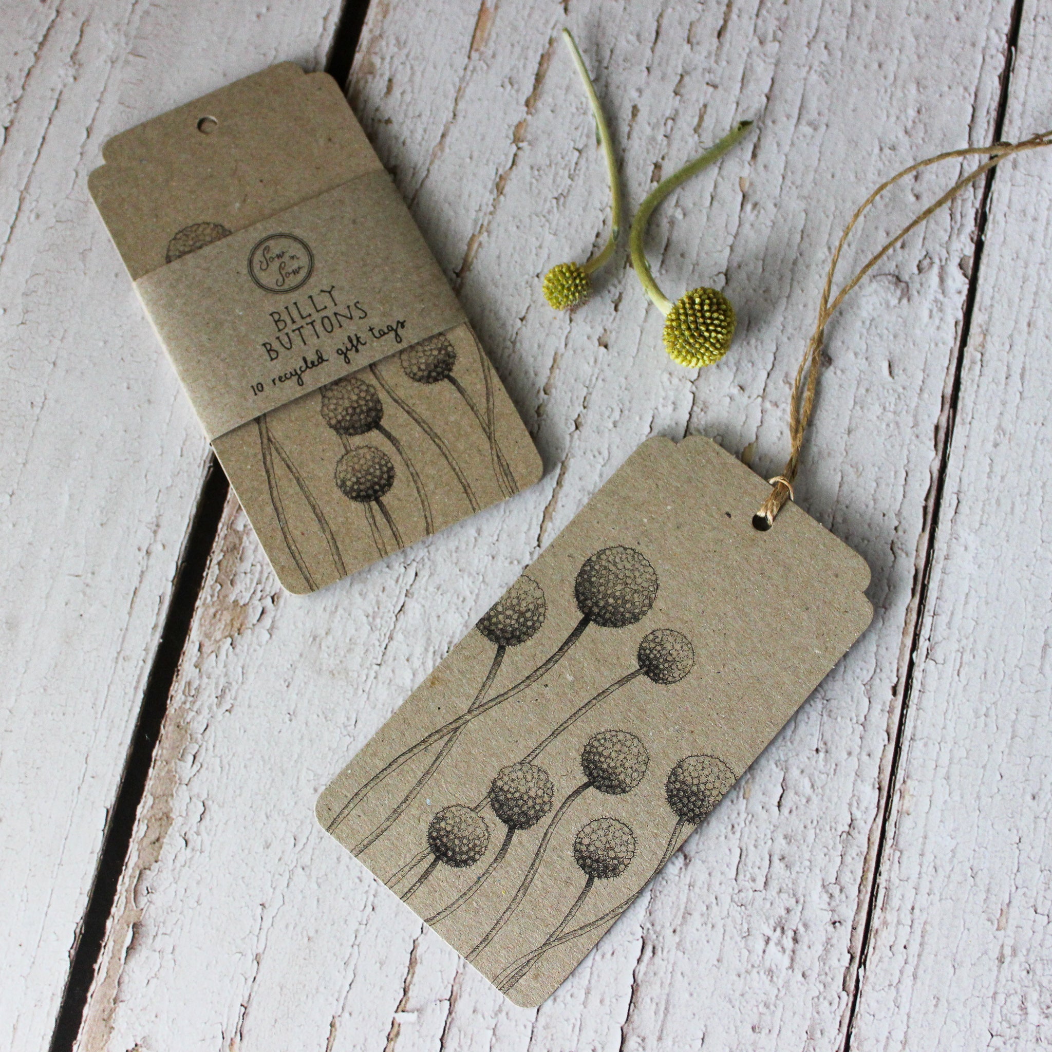 Sow 'n Sow Gift Tags : Billy Buttons - Tribe Castlemaine