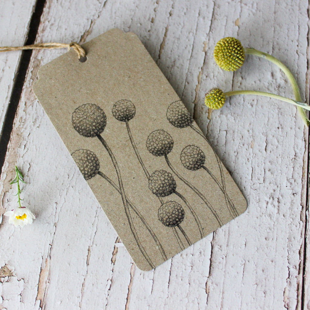 Sow 'n Sow Gift Tags : Billy Buttons - Tribe Castlemaine