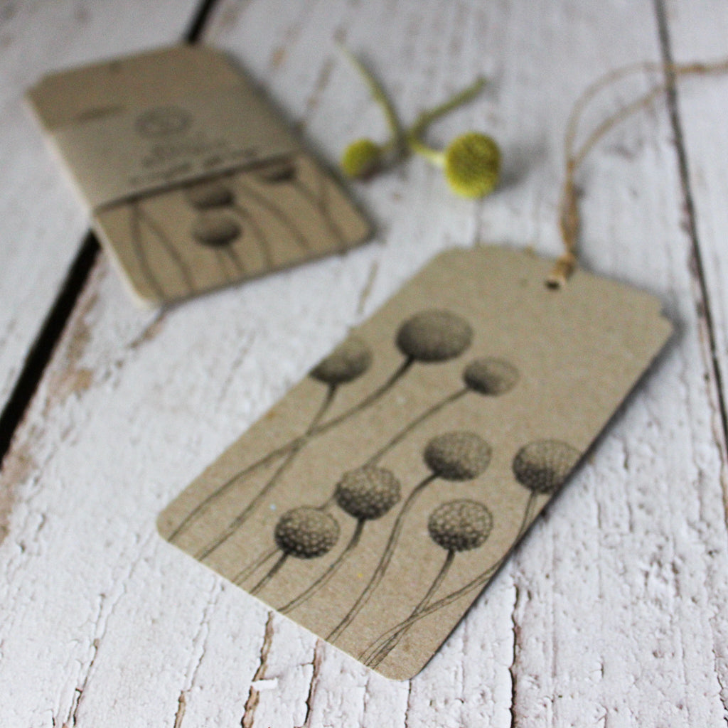 Sow 'n Sow Gift Tags : Billy Buttons - Tribe Castlemaine