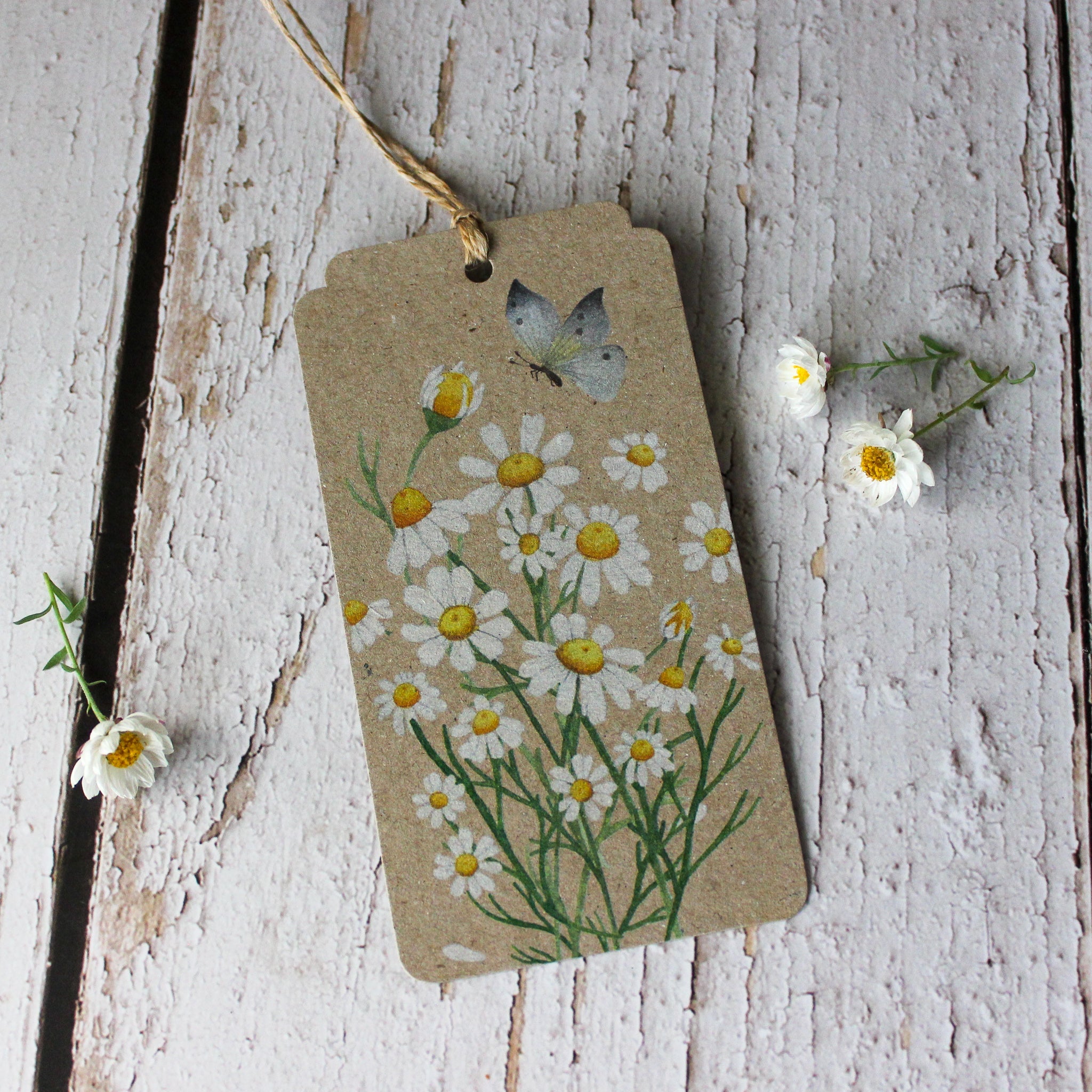 Sow 'n Sow Gift Tags : Chamomile - Tribe Castlemaine