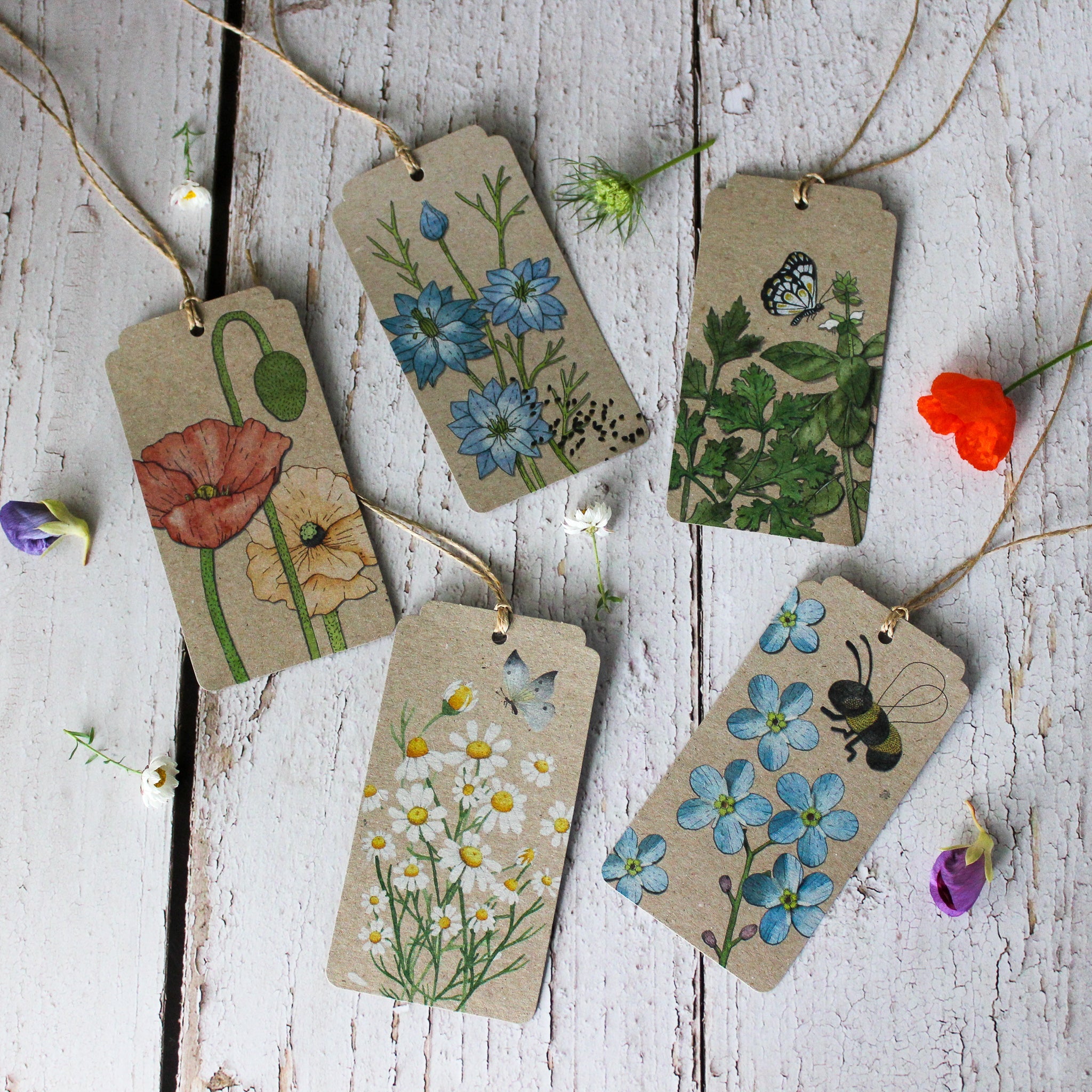 Sow 'n Sow Gift Tags : Forget-me-not - Tribe Castlemaine