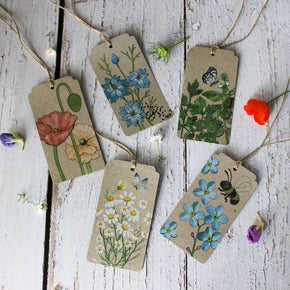 Sow 'n Sow Gift Tags : Forget-me-not - Tribe Castlemaine