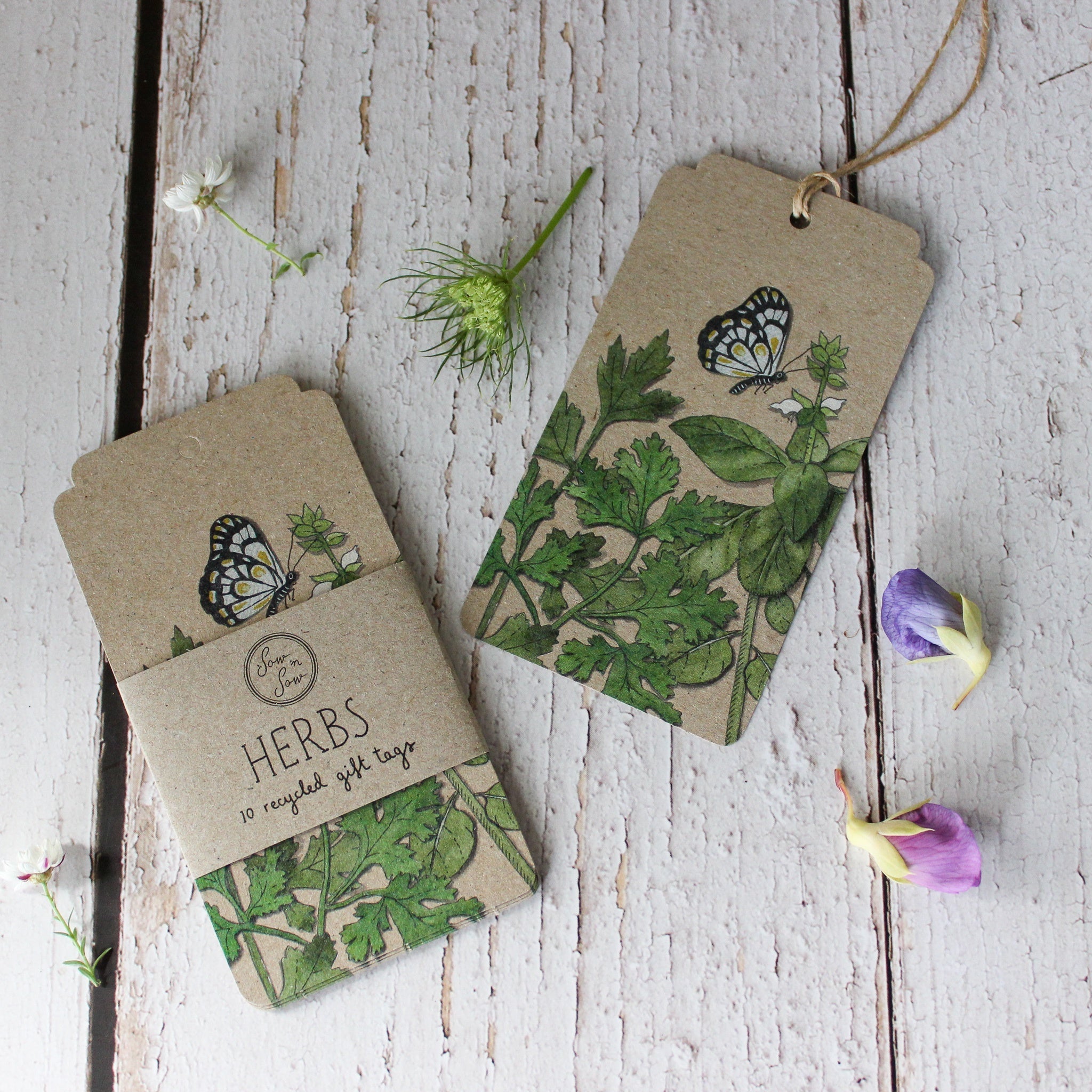 Sow 'n Sow Gift Tags : Herbs - Tribe Castlemaine