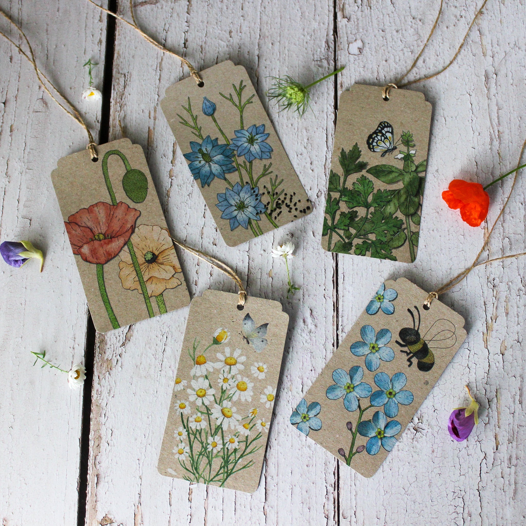 Sow 'n Sow Gift Tags : Herbs - Tribe Castlemaine