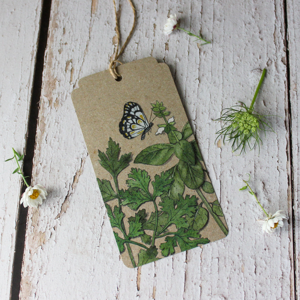 Sow 'n Sow Gift Tags : Herbs - Tribe Castlemaine