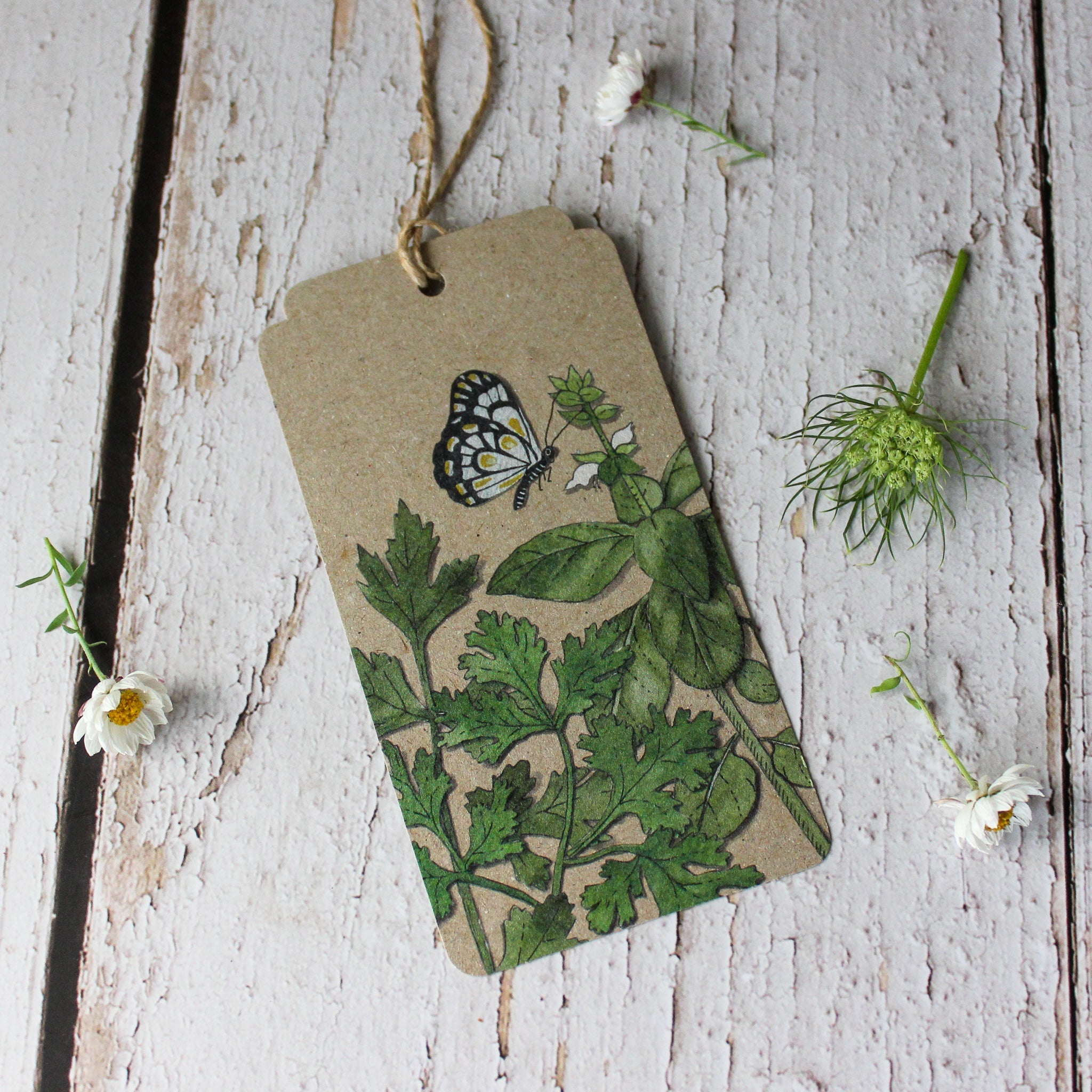 Sow 'n Sow Gift Tags : Herbs - Tribe Castlemaine