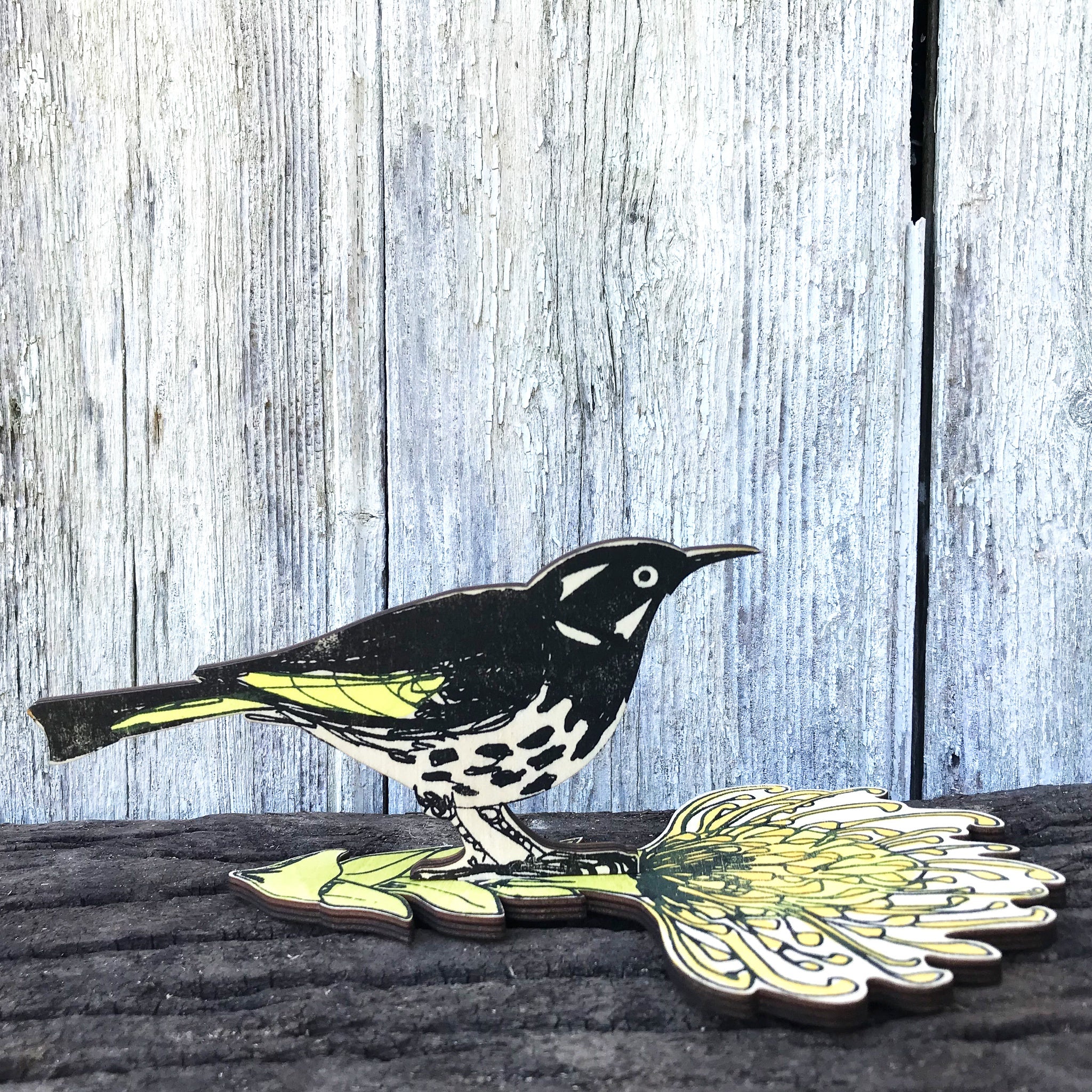 Standing Bird : New Holland Honey Eater - Tribe Castlemaine