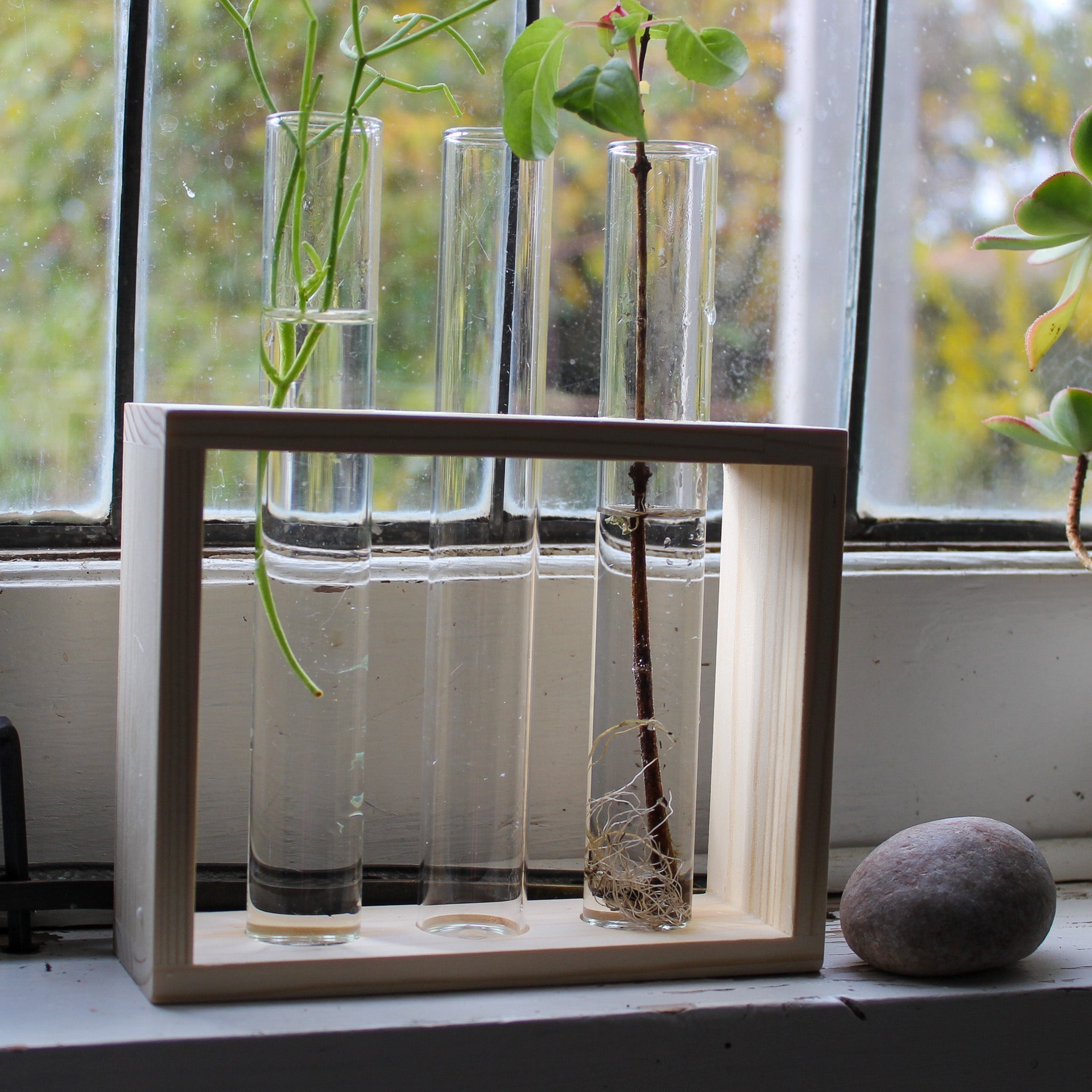 Test Tube Propagation Frames - Tribe Castlemaine