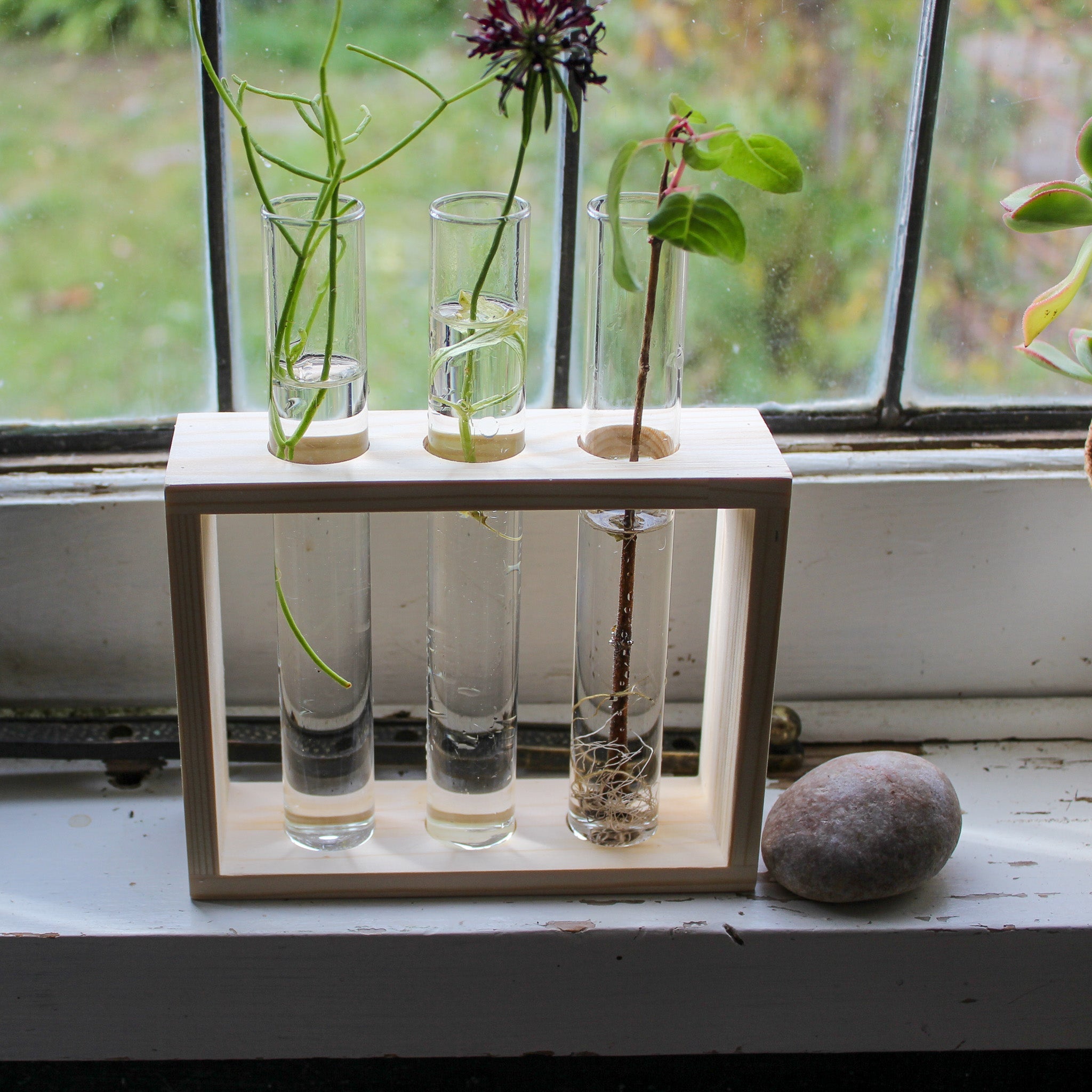 Test Tube Propagation Frames