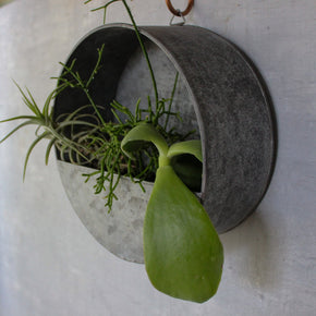Tin Hanging Storage Planters - Tribe Castlemaine