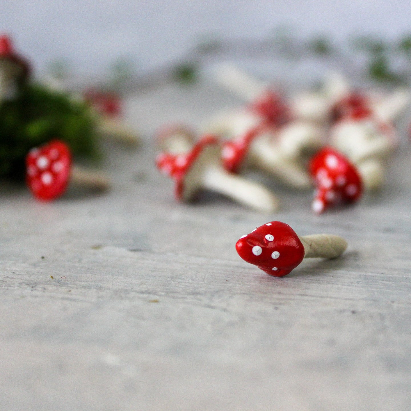 Tiny Ceramic Toadstools – Tribe Castlemaine