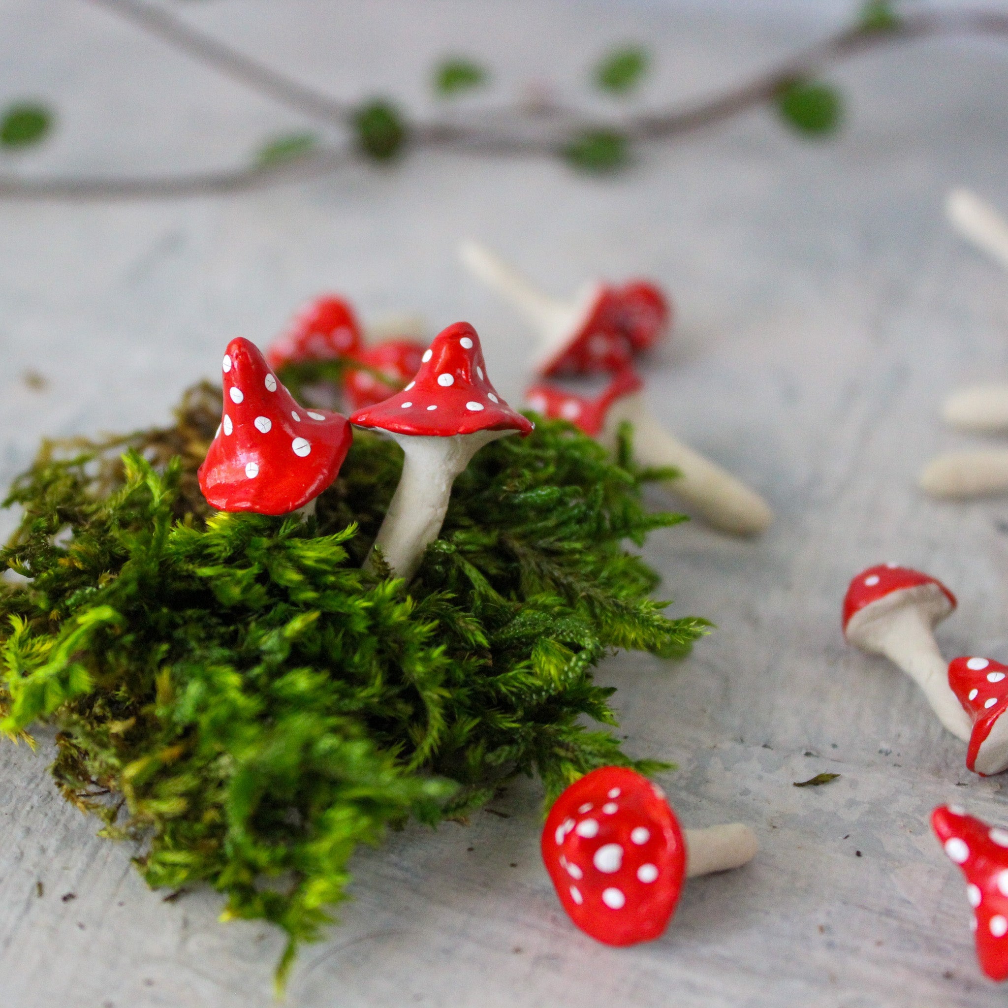 Tiny Ceramic Toadstools – Tribe Castlemaine
