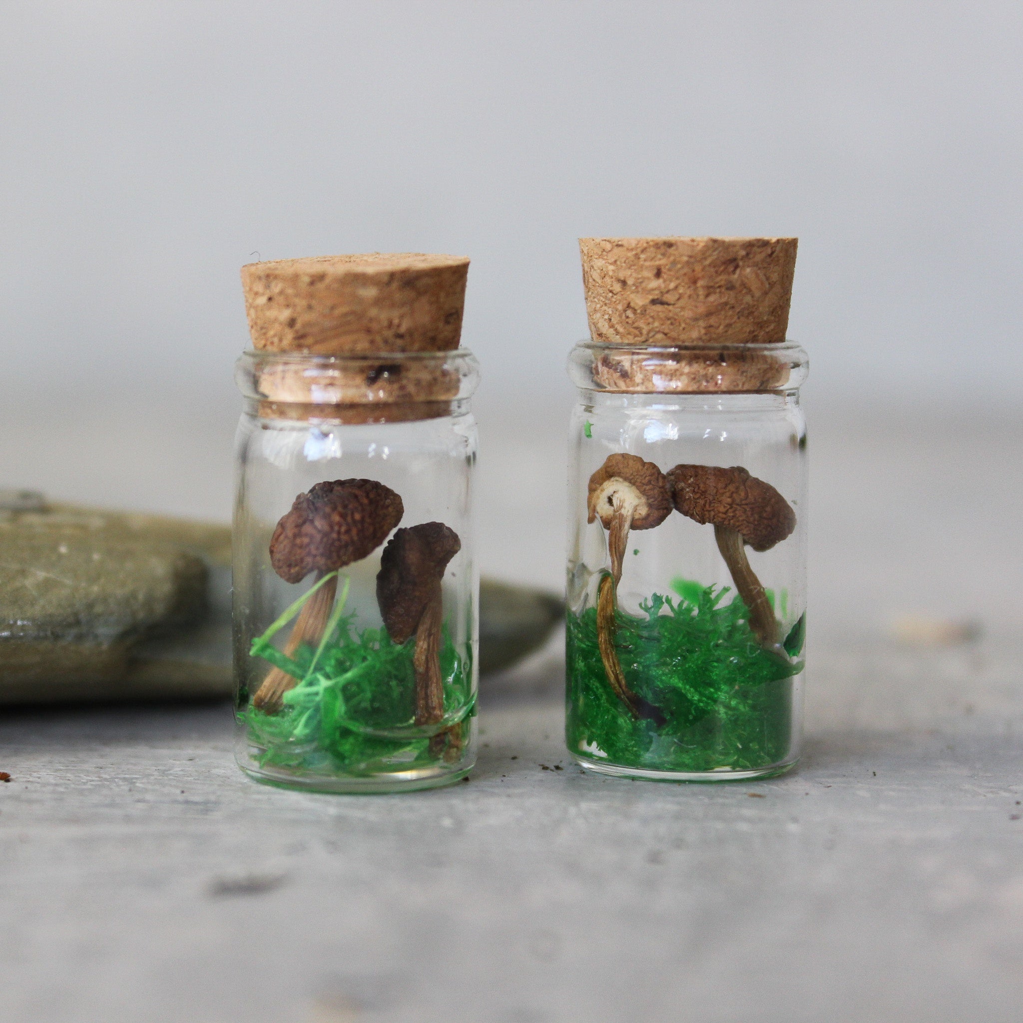 Tiny Mushroom Jars - Tribe Castlemaine