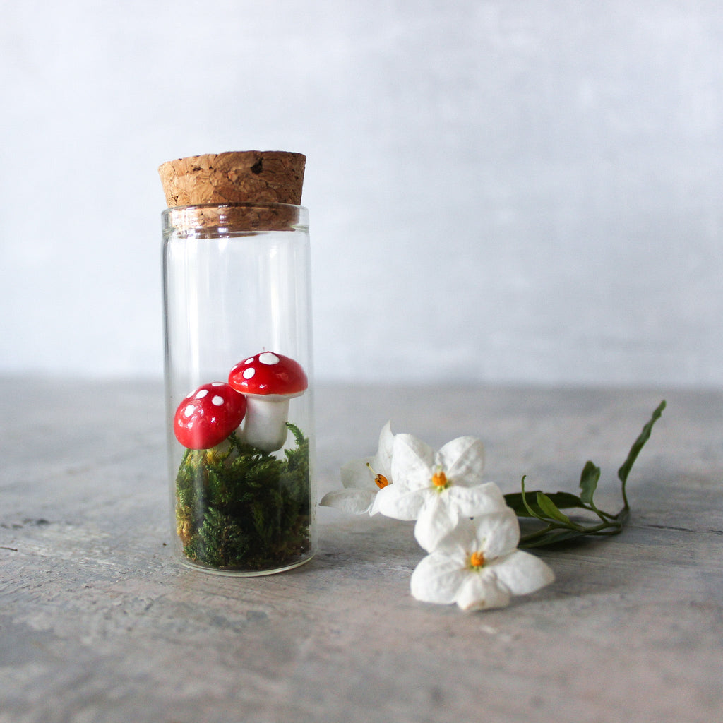 Tiny Toadstool Terrarium - Tribe Castlemaine