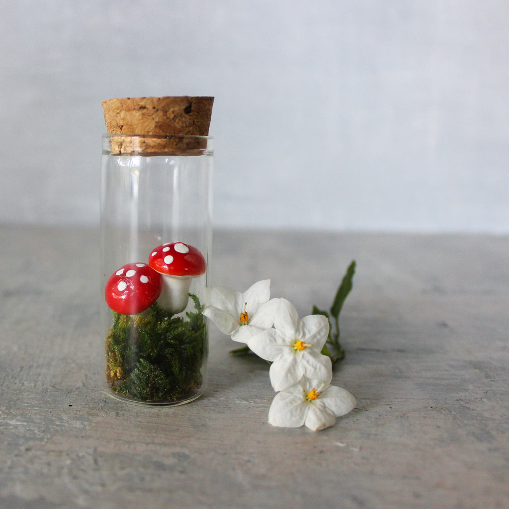 Tiny Toadstool Terrarium - Tribe Castlemaine