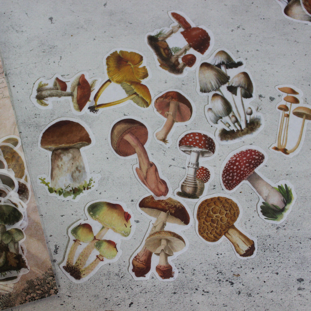 Toadstool Sticker Pack - Tribe Castlemaine