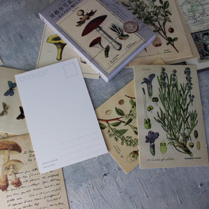 Vintage Nature Postcard Set - Tribe Castlemaine