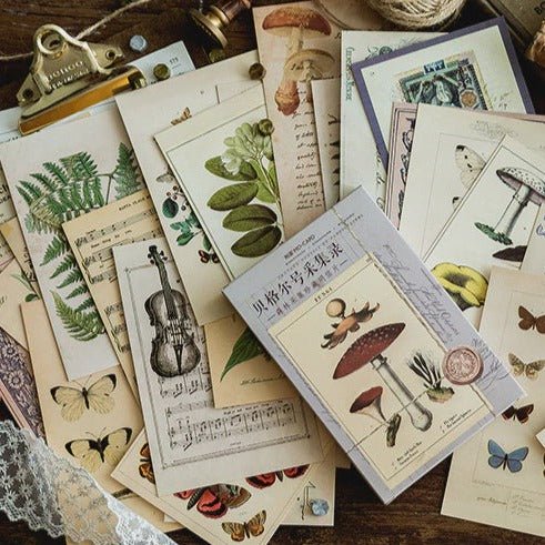 Vintage Nature Postcard Set - Tribe Castlemaine