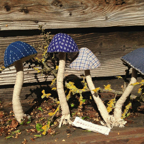 Vintage Toadstool - Tribe Castlemaine